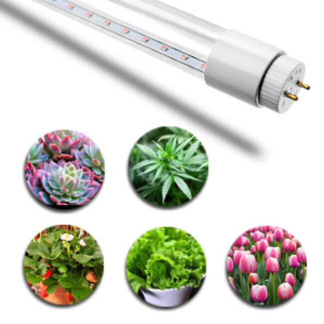 TL LED Buis Groeilamp - Full Spectrum  - 9 Watt - 60 cm