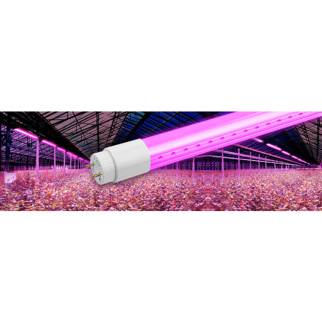 TL LED Buis Groeilamp - Full Spectrum  - 18 Watt - 120 cm
