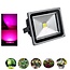 LED Bouwlamp Groeilamp - Full Spectrum - 50 Watt