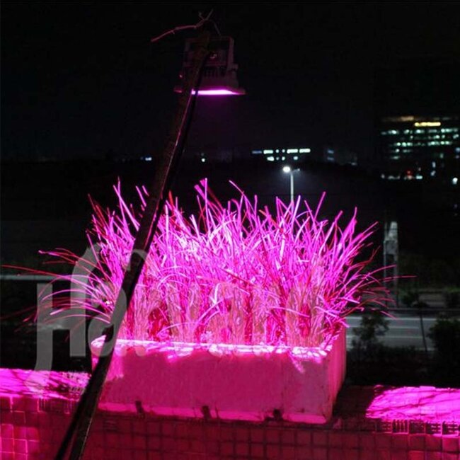 LED Bouwlamp Groeilamp - Full Spectrum - 30 Watt