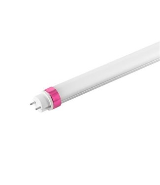 TL LED Buis Puur Wit - Hoge Lumen  - 120 cm - 18 Watt