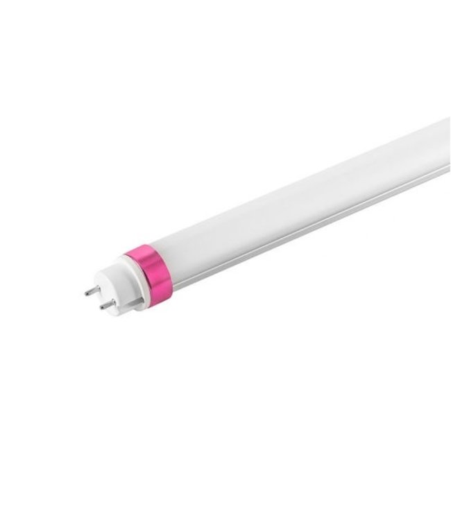 Yphix LED buis TL Premium T8 25W 3.750lm koel wit 4000K 150cm - per 10 stuks (50504127