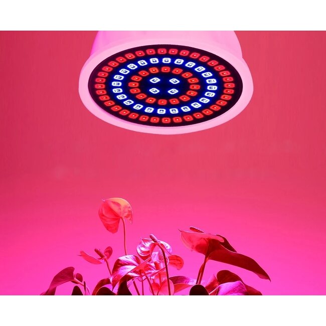 Groeilamp Kweeklamp Spot LED / Full Spectrum - 7 Watt