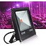 Kweeklamp Groeilamp Verlichting - Full Spectrum