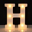 LED Lichtgevende Letters 22 cm Hoog - Warm Wit - Op Batterijen