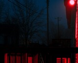 Trekt rood licht minder insecten, wespen en hoornaars aan?