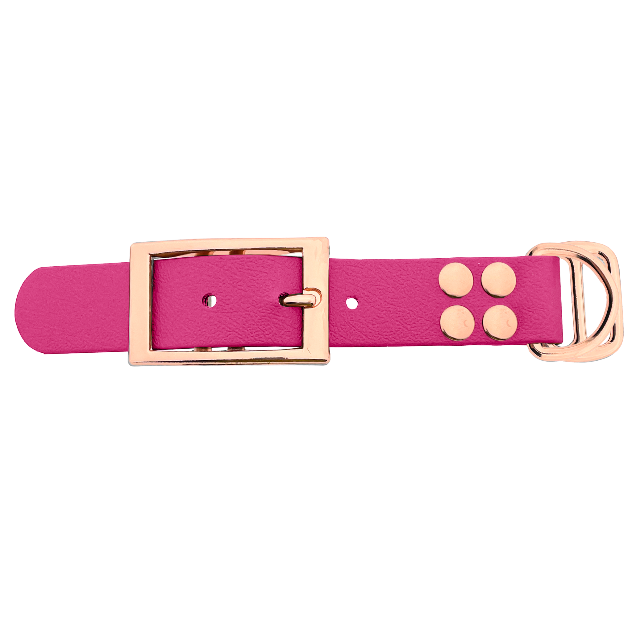 Angel For Pets BioThane Halsband Verschluss 25mm – Verstellbar, Mehrfarbig, Mit D-Ringen