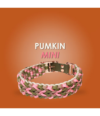 123Paracord Pumkin Mini  Hundehalsband - DIY kit