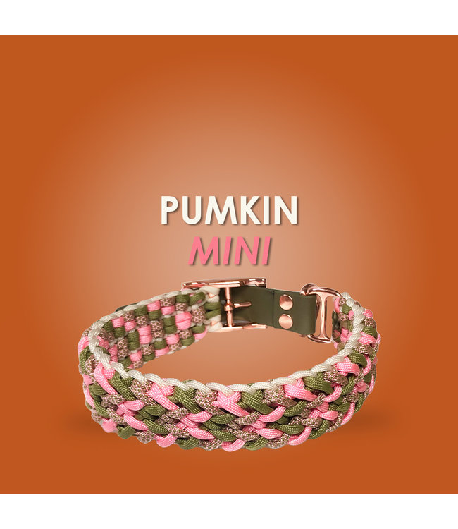 Pumkin Mini  Hundehalsband - DIY kit