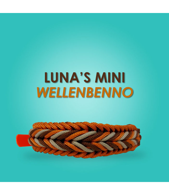 Luna's Mini Wellenbenno Hundehalsband - DIY kit