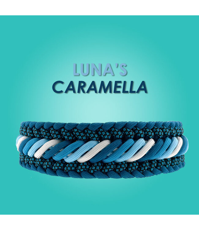 Luna's caramella Hundehalsband - DIY kit