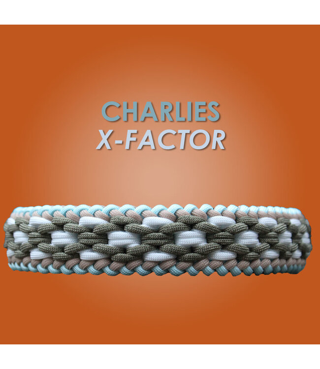 Charlies X-Factor Hundehalsband - DIY kit