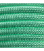 Paracord 550 typ III Fresh Mint