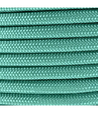 123Paracord 10MM PPM Seil Mint