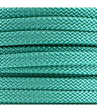 123Paracord 10MM PPM Seil flach Mint