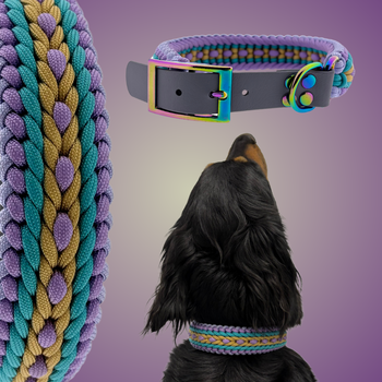 Luna's wide sanctified 