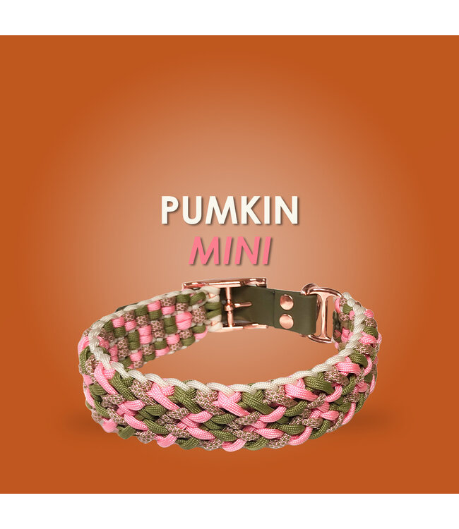 Pumkin Mini Hundehalsband - DIY kit
