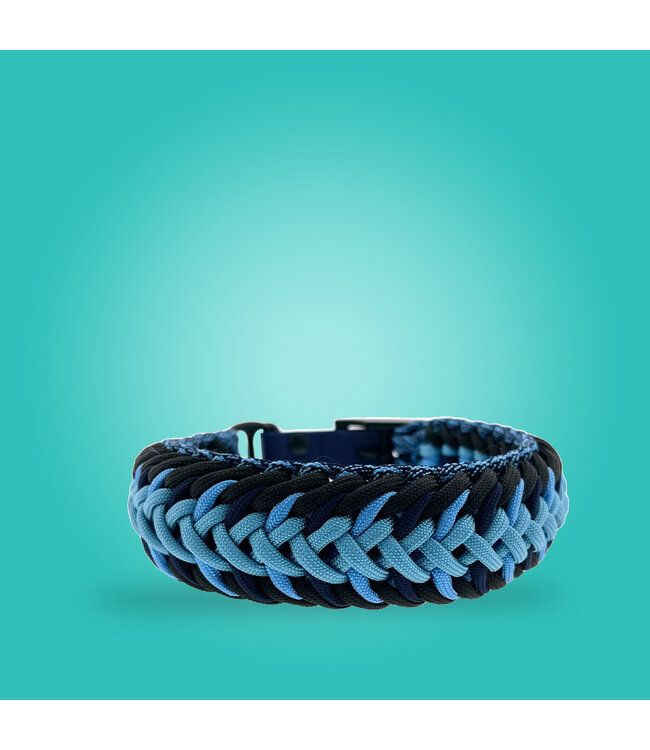 Moonlight Hundehalsband - DIY kit