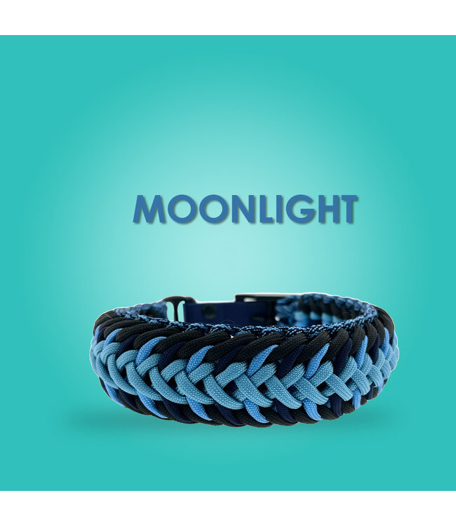 Moonlight Hundehalsband - DIY kit