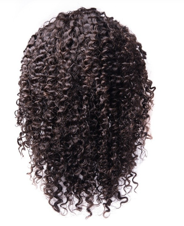 ArcticFox Virgin Full Lace Wig- Jerry Curl