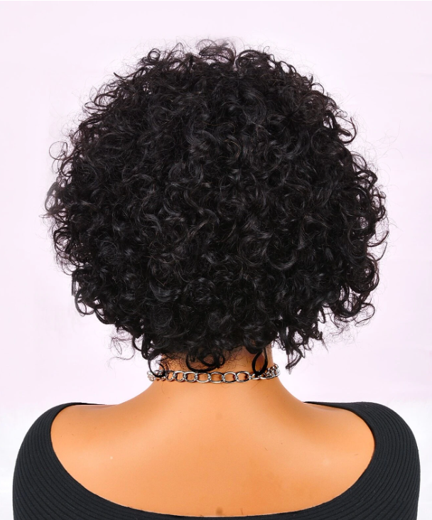 Shri Indian (Shri) Human Hair Front Lace Wig - Pixie Curly