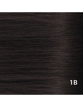 ArcticFox Virgin Weave- Genius 20gram - #1B Natural Black