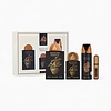 Brioche Vanille Giftset 4 pcs. 100 ml EDP + 20 ml EDP + Perfumed Spray + Pocketspray