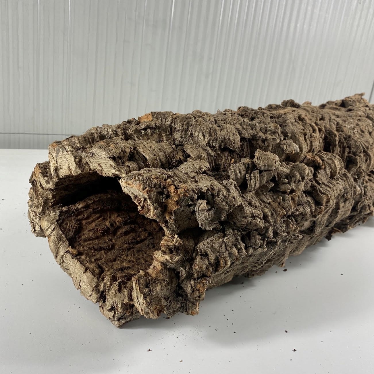 Kurkschors Plat – Natuurlijk & Duurzaam voor Terrarium & Decoratie Kurkschors Plat – Natuurlijk & Duurzaam voor Terrarium & Decoratie