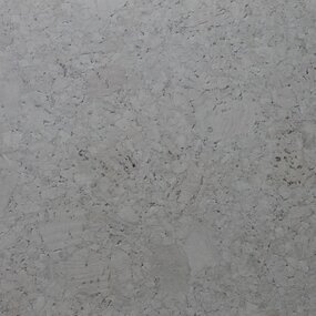 Gelakte plak kurkvloer - Champagner Slate Grey - 60 x 30 cm - PARTIJ 30m²