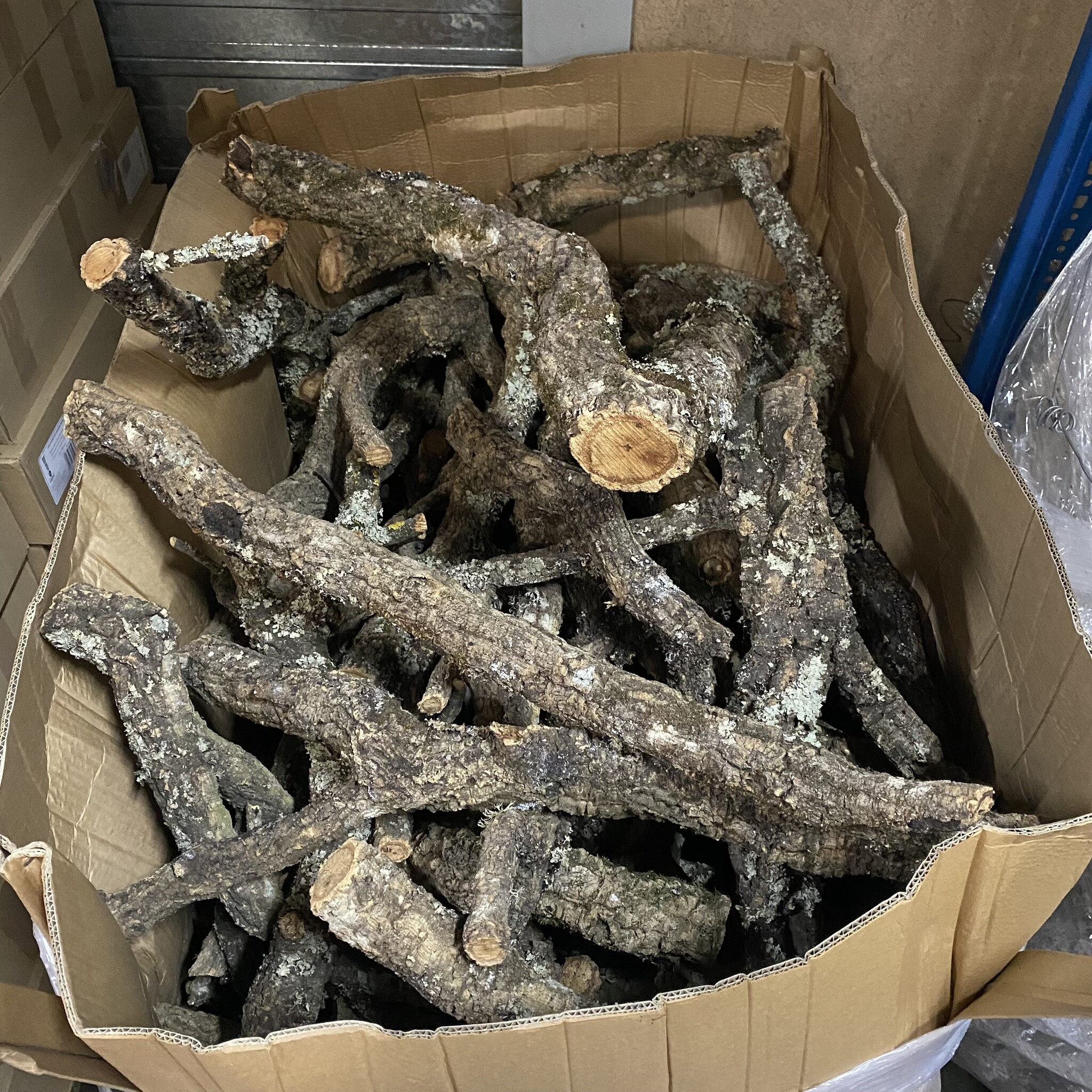 Cork oak bark, cork tubes, 15-20 cm long, 6-7 pieces, cork net, natural cork, terrarium, model making, decoration