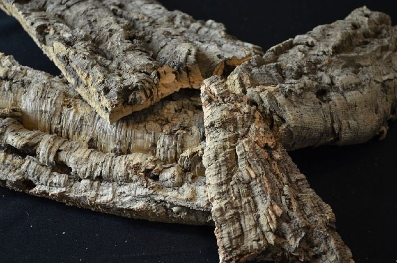 Kurkschors cork forest stripe. De natuur in huis met wandkurk! - kurk&kurk Kurkschors cork forest stripe. De natuur in huis met wandkurk! - kurk&kurk