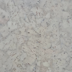 Gelakte plak kurkvloer - Elements Wind -  60 x 30 cm - per m2