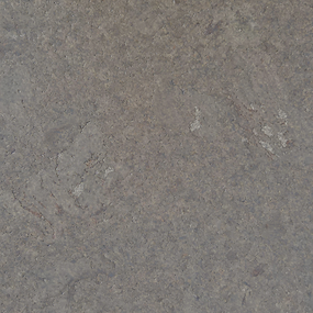 Plak kurkvloer - Shell Grafite - 60 x 30 cm - 4 mm dik - per m2