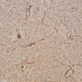 Gelakte plak kurkvloer - Anglona - 60 x 30 cm - per m2