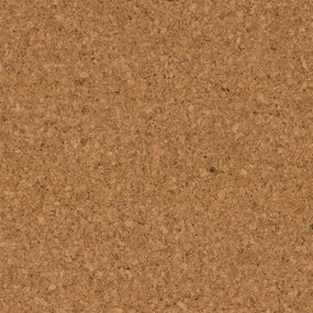 Gelakte plak kurkvloer - Parijs - 60 x 30 cm - per m2