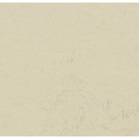 Kurk Klikvloer Linoleum - Moon - PARTIJ 15m2