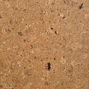 Wandkurk 'Decodalle Gem' GEWAXT - 60 x 30 cm - 3mm dik - per m2
