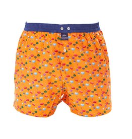 Mc Alson Mc Alson boxer shorts pumpkin orange-blue