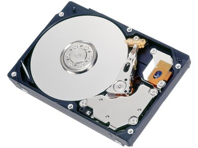 Fujitsu Fujitsu Dx60 S4 600 GB SAS HDD | 2,5 inch