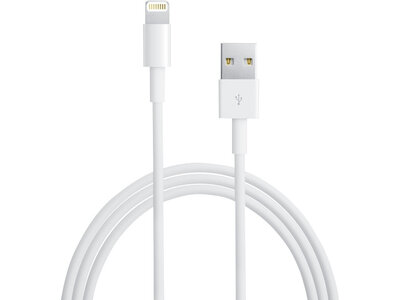 Apple Lightning to USB 1 Meter