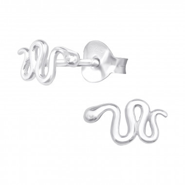 Silver earrings of a snake.