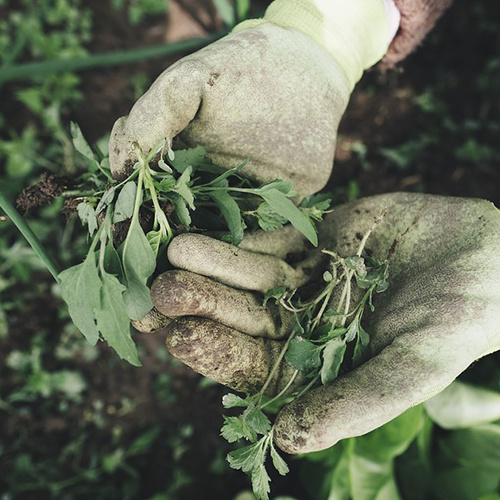 Tweedekans Tuinartikelen