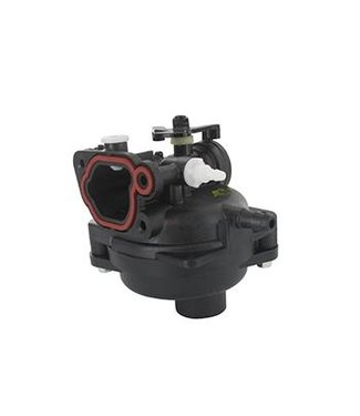 Briggs & Stratton Briggs & Stratton Carburateur - Model 591160, 799583