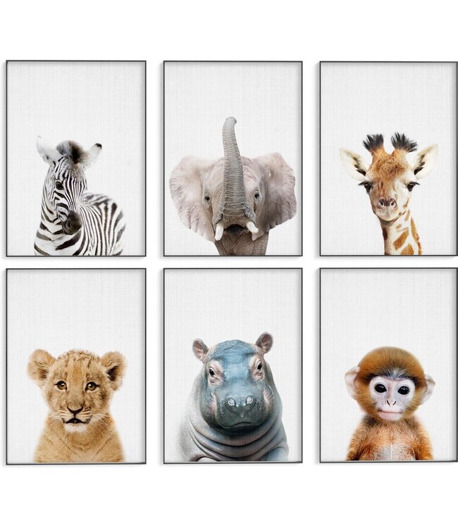Generic | Safari Posters met Dieren voor Kinderkamer - 6 Posters - 21 x 30cm