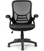 LifeGoods LifeGoods Ergonomische Bureaustoel - Office Chair - Verstelbaar - Volwassenen - Zwart