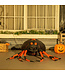 Sunny Sunny 43 cm Opblaasbare Halloween Decoratie Grote spin met LED verlichting