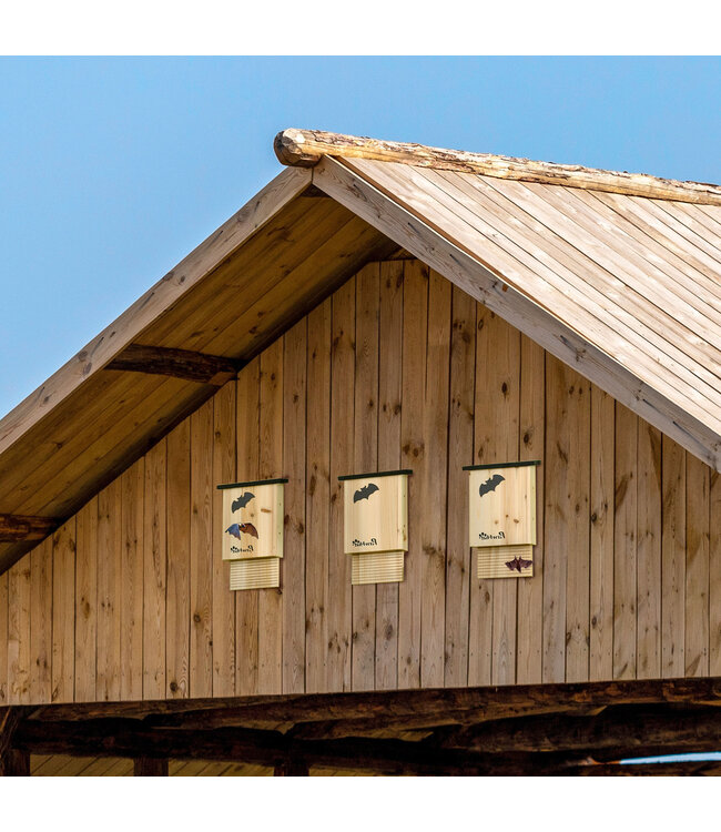 Set van 3 weerbestendige vleermuishokken, tot 3 vleermuizen per huis, behandeld dennenhout, natuurlijk+ zwart