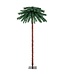 Coast Coast 183 cm High Artificial Palm met PVC Branch -tips verlichte kunstboom voor kerstgroen