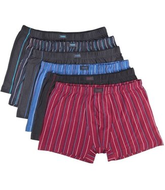 Generic Retro shorts, 6-pack, geassorteerde kleuren, maat 6