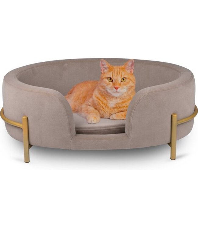 Pet Comfort Pet Bed - Huisdieren tot 80KG - Zacht Fluwelen Kussen - Verhoogd Katten- en Hondenbed - Grijs -  60,5 x 40,5 x 23,5 cm